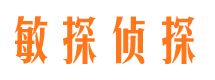 容县私家调查公司